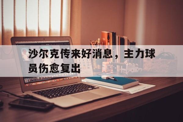 沙尔克传来好消息，主力球员伤愈复出
